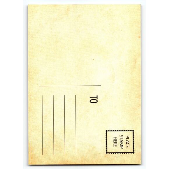 Vintage Halloween Postcard with Children & Black Cats 5.5x4 Chrome - Picture 2 of 2